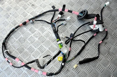 Lexus RX450h 2016-2022 GYL25 puerta delantera izquierda telar / arnés de cableado 8215248B50 Foto 1 de 2