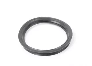 BMW 3 5 Series E46 E39 X5 E53 1995-2003 Fuel Pump Seal Gasket Ring Genuine - Picture 1 of 2