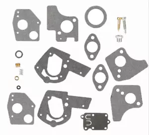 Carb Overhaul Rebuild Repair Kit for Briggs & Stratton 495606 494624 3-5HP - Picture 1 of 9