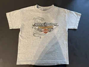 Vintage Harley Davidson T Shirt Iids Size 7 Biker Motorcycle Gray Dealer Y2K - Picture 1 of 3