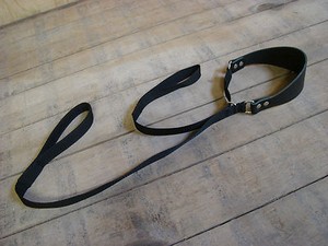 dog leash with collar