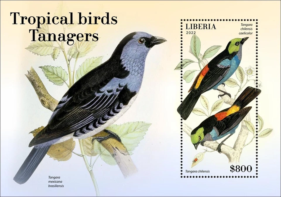Estampillas Tropical Birds Tanagers MNH 2022 Liberia S/S Foto 1 de 1