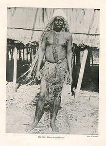 Image - Veuve En Halbtrauer, Papua Neuf Guinée - Um 1925 (OR-1) - Imagen 1 de 1