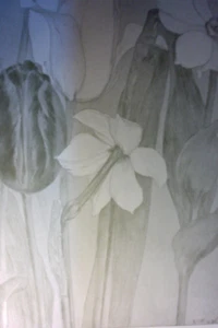 1897 Litho Emil Rudolf Weiß Frühlingsblumen Spring Flowers Secession Jugendstil - Picture 1 of 3