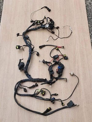 03-06 DUCATI 749 999 BIPOSTO MOTOR PRINCIPAL CABLEADO ARNÉS MOTOR CABLE TELAR 04 05  Foto 1 de 4