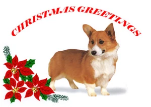 CORGI SINGLE DOG PRINT GREETING CHRISTMAS CARD - Picture 1 of 1