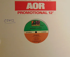 "Frozen Ghost 12" copia promocional ""Promises"" LP - Imagen 1 de 3