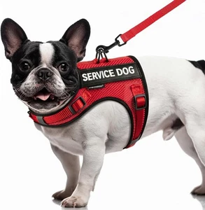 Chaleco de servicio FAYOGOO para perros pequeños - malla de aire transpirable XXS, rojo  - Imagen 1 de 6