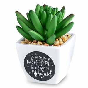 H&H Sentiment Succulent Artificial Plant Pot Mermaid 00281000025 - Picture 1 of 3