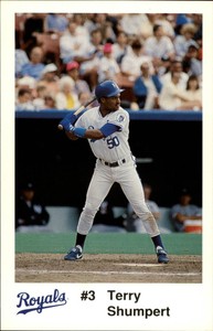 1991 Police Baseball Card #20 Terry Shumpert