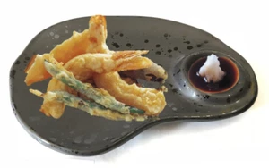 Melamine Plate Sushi Tonkatsu Tempura Dumpling Katsu Platter Dish 8-3/4"X6-3/8" - Picture 1 of 11