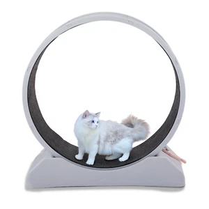 Cat Exercise Wheel Large Cat Treadmill Running Wheel for Indoor Cats 34.7 inch H - Picture 1 of 7