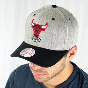 Chicago Bulls Kappe Mitchell & Ness gebogene NBA Basketballmütze verstellbar - grau - Bild 1 von 3