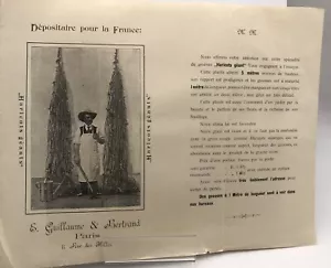 Guillaume & Bertrand - Riesenbohnensamen - 1900 Küche, Essen und - Bild 1 von 3