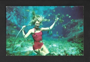 CARTOLINA: BELLISSIMA SIRENA SOTT'ACQUA ALLA SORGENTE WEEKI WACHEE IN FLORIDA - Foto 1 di 2