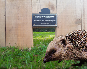 Brent Lodge Hoggy Walkway Hedgehog Signs New Garden Fence Sign