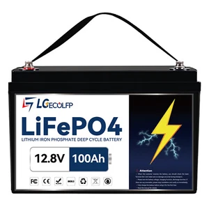 LGE LiFePO4 Battery 12V 100AH 200AH BMS Deep Cycle Lithium Battery RV Solar - Picture 1 of 29