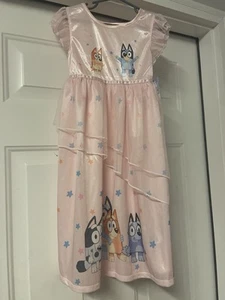 Bluey, Bingo and Family Toddler Girl's Pink Tulle Nightgown, Dress Size 5T - Picture 1 of 3