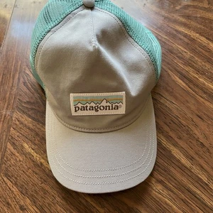 Patagonia Hat Cap Snap Back Gray Blue Mountains Trucker Outdoors Baseball Mens - Picture 1 of 9
