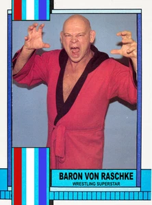 Tarjetas coleccionables 2025 LJACards "AWA 1990" Historia de la lucha libre Tarjeta de novedad ACEO - Imagen 1 de 27