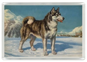 SCHLITTENHUND HUSKY HUND KUNSTDRUCK NEUHEIT KÜHLSCHRANKMAGNET TOLLES GESCHENK - Bild 1 von 1