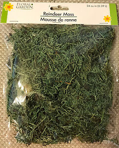 FLORAL REINDEER MOSS For Artificial Arrangements - 24 Cu. In. - FREE SHIPPING!!!