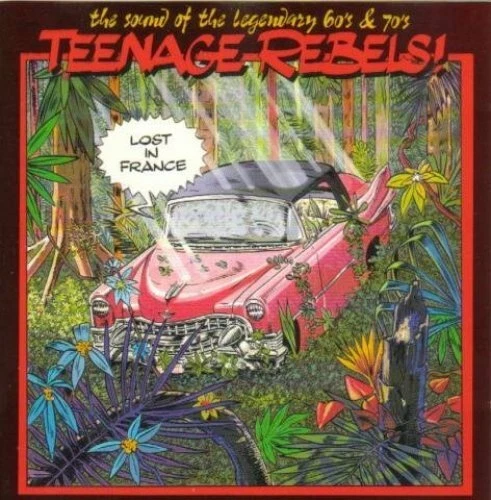 Teenage Rebels-Lost in France Bonnie Tyler, Sally Oldfield, P.P. Arnold, .. [CD] - Bild 1 von 1