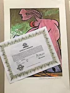 Pablo Picasso Giclee COA - Signed Collection Domaine Picasso - 500 ex Z - Bild 1 von 15