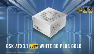 Antec GSK850 80+ Gold White Fully Modular ATX 3.1, PCI-E 5.1 latest High Quality - Picture 1 of 1