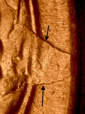 1955-S ¡¡Raro!! Centavo de trigo Lincoln rojo sin circular BU gema retenido #2 Foto 1 de 3