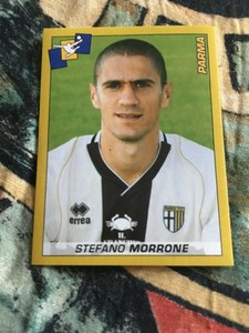 SOCCER SANDWICHERS 2007- 2008 FIGURE NR 328 EXCELLENT STEFANO MORRONE