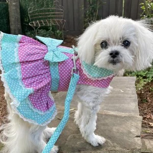 Rosa Tupfen und Spitze Hundekleid Set mit passender Leine - XS-S-M-L-XL - Bild 1 von 5