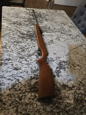 Rifle de aire Ruger Air Hawk .177  Foto 1 de 4