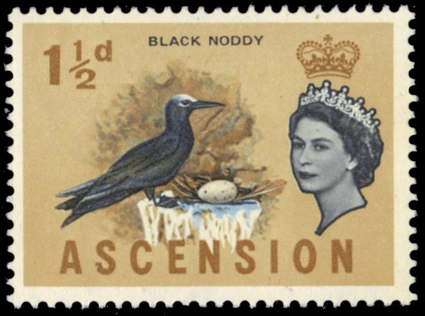 ASCENSION 76 (SG71) - Pájaros "Black Noddy Tern" (pa49573) Foto 1 de 1