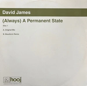 David James "(Always) A Permanent State" * HOOJ 108 / Waveform Remix - Picture 1 of 1