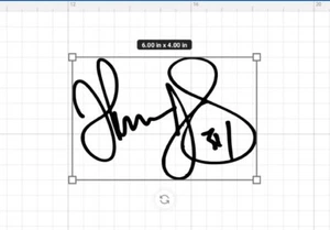 Thurman Thomas Buffalo Facsimile Signature Autograph Vinyl Sticker Bills Mafia! - Picture 1 of 5