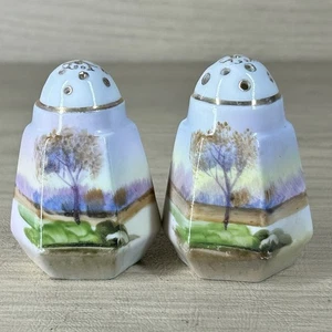 Vintage Japanese Salt and Pepper Shakers Floral Trees Japan - Picture 1 of 8