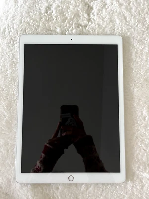 Apple I pad pro 12.9 2nd Gen, 64 GB, Wifi + LTE - silber - Bild 1 von 4