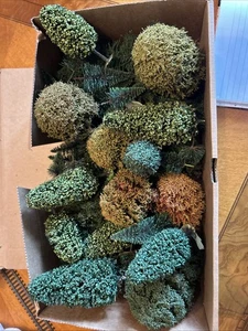 N Gauge Selection of Trees Oaks, Poplars, Christmas, Leaf/Flowering - Picture 1 of 3