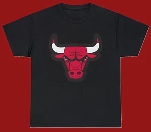 Never Worn Chicago Bulls Gildan Short Sleeve 100% Soft Cotton Tee Shirt: Size L - Picture 1 of 2