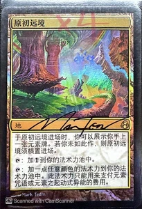 Primal Beyond FOIL Morningtide (Chinese) Signed - Picture 1 of 1