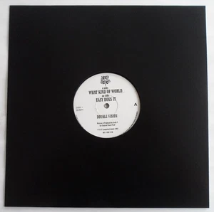 DOUBLE VISION - WHAT KIND OF WORLD 12" VINYL SINGLE 1993 DEEP SEVEN DEEP1 *VG* - Picture 1 of 4