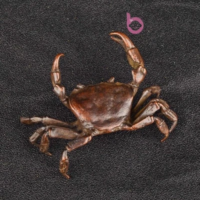 Antigua estatua china de cobre puro hecha a mano cangrejo pequeño adorno Foto 1 de 4