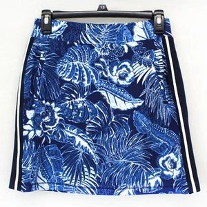 TALBOTS Plus Blue Contrast Stripes Mini golf tennis paddle ball Skort Petite - Picture 1 of 9