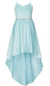 Rare Editions Big Girl's Embellished Waist Taffeta Hi-Lo Fanciful Dress-14 or 16 - Picture 1 of 4