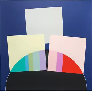 Eugenio CARMI Imaginary Sign 2 1994 Original Signed Screen Print 70X70cm - Picture 1 of 2