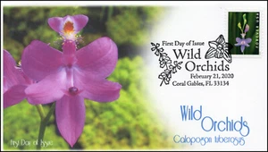20-051, 2020, Wild Orchids, Pictorial Postmark, First Day Cover, Calopogon tuber - Picture 1 of 1