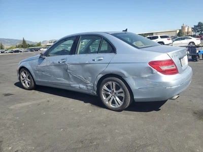 SLV Right Rear DOOR ASSEMBLY 2010-2014 MERCEDES-BENZ C250 Foto 1 de 4