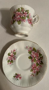 Paragon Fine Bone China Tea Cup &Saucer-full size-Mayflower Canadian Pro. Flower - Picture 1 of 3