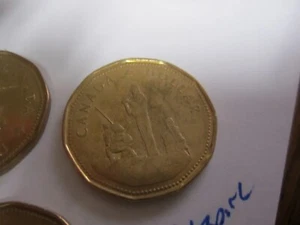 CANADA One Dollar loonie 1988-2002 - Circulated Canadian - 41 Coin Lot - Picture 1 of 8